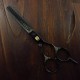 Kadeřnické trimovací nůžky 5,5" TITAN H5630 ACRM Profesional