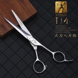 Kadeřnické nůžky 6,5" TITAN MJJ65 ACRM Profesional